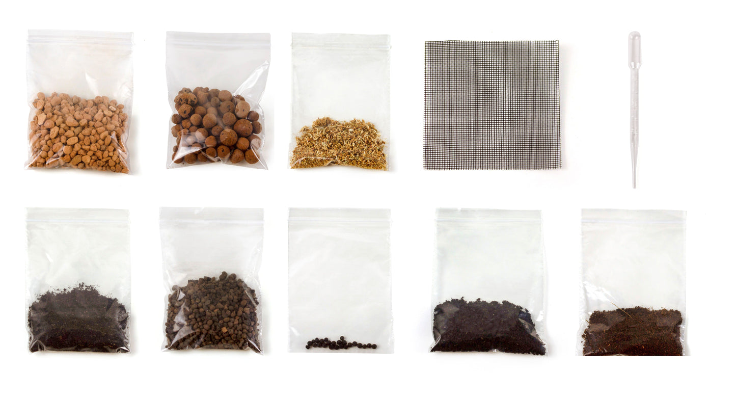 Blue Coffee Jar Terrarium Kit