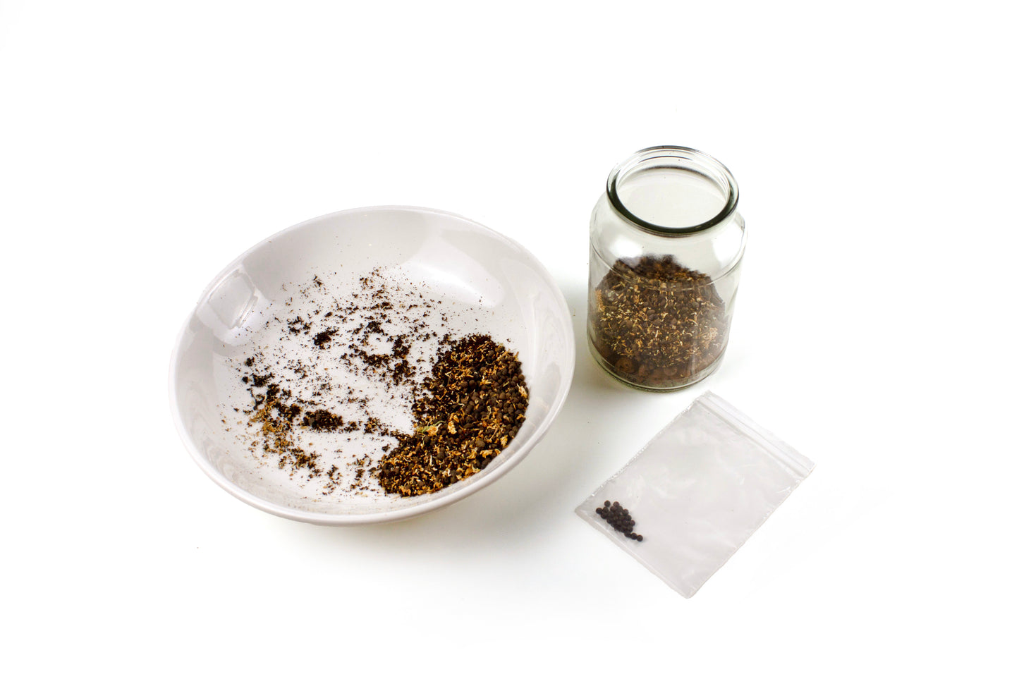 Blue Coffee Jar Terrarium Kit