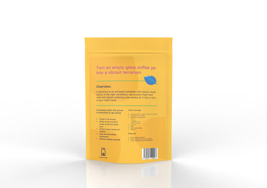 Yellow Coffee Jar Terrarium Kit