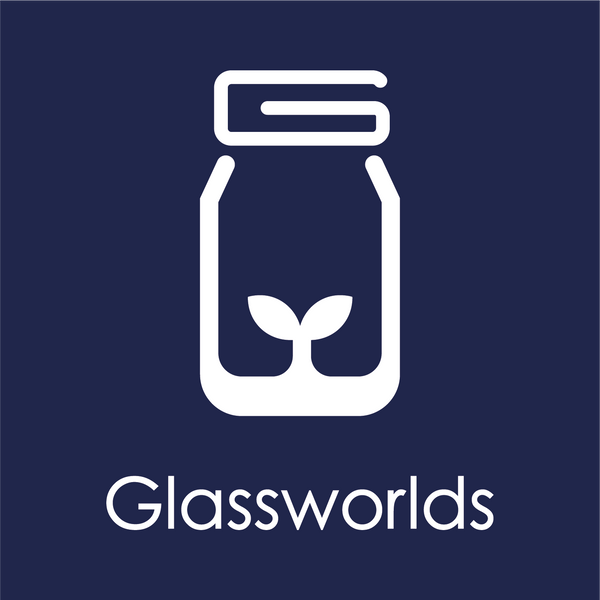 Glassworlds